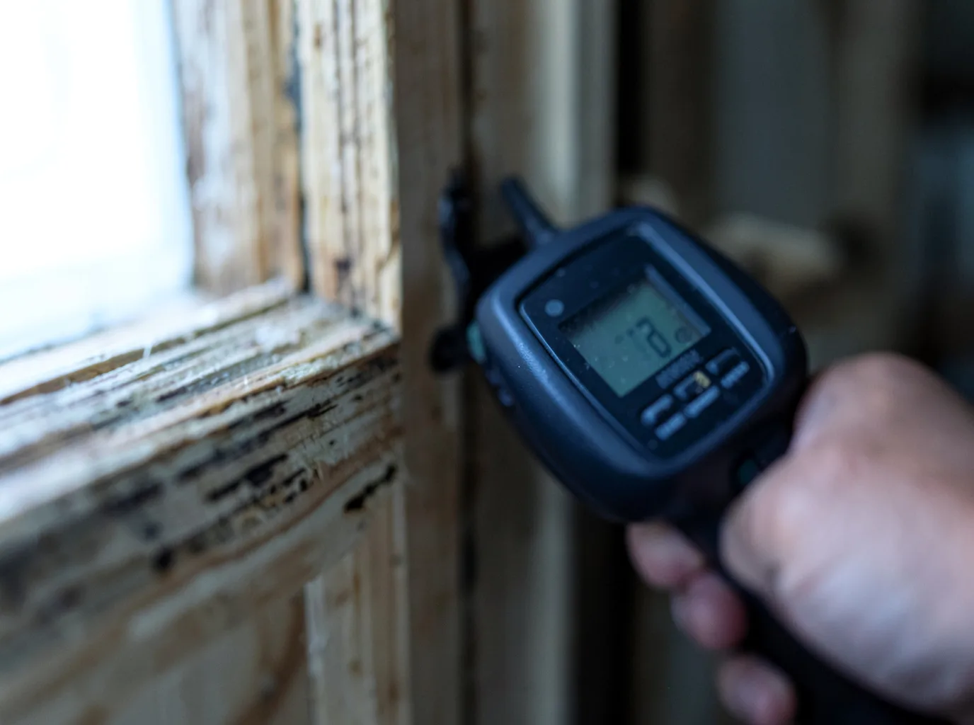 Moisture Inspection And Documentation in Drummond, MT
